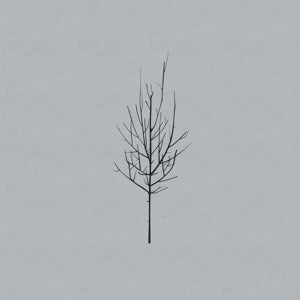 Ones and Sixes - Cover