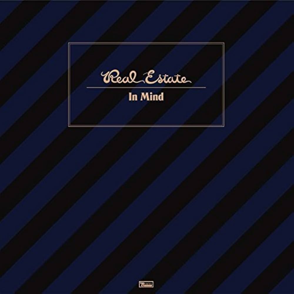 In Mind - Blue & Black Marbled Vinyl In Gatefold Sleeve