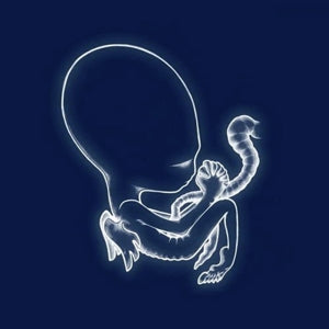 Agaetis Byrjun - 180gr. - Cover