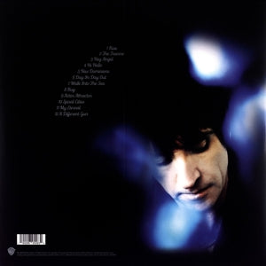 Call the Comet - Back Cover