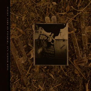 C'mon Pilgrim...It's Surfer Rosa - .. Pilgrim...It's Surfer Rosa, Bronze/Gold Vinyl - Cover