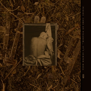 C'mon Pilgrim...It's Surfer Rosa - .. Pilgrim...It's Surfer Rosa, Bronze/Gold Vinyl - Back Cover