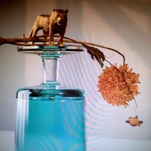 Gallipoli - Cover