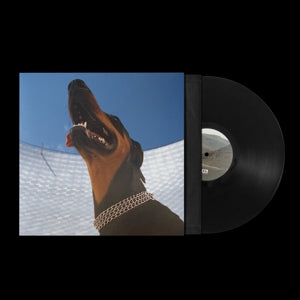Good Lies - Back Cover