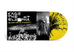 Live From the Vic In Chicago - Cover