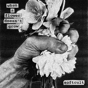 When a Flower Doesn't Grow - Cover