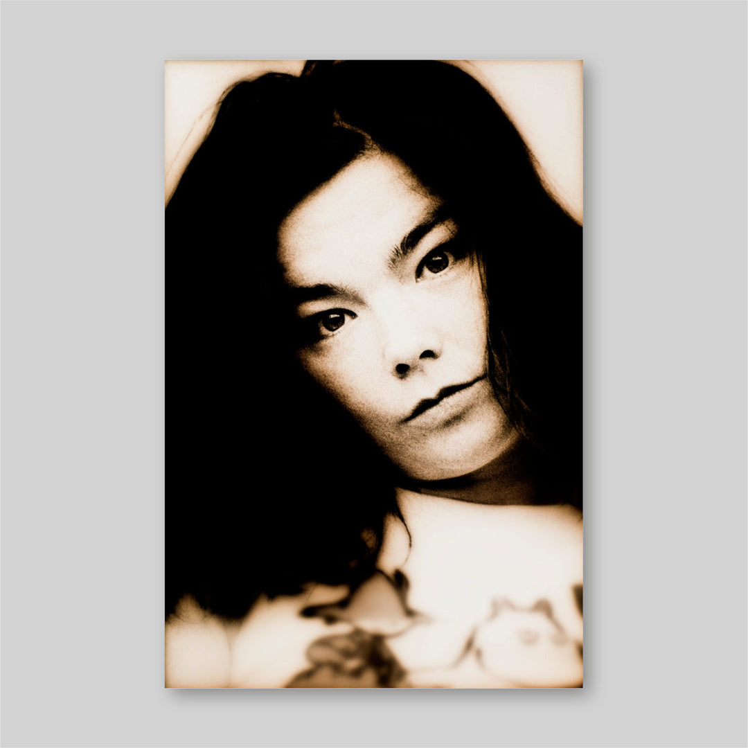 Björk, 1994