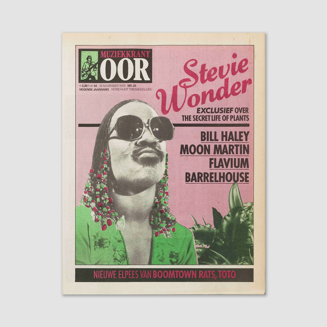 Stevie Wonder vintage poster