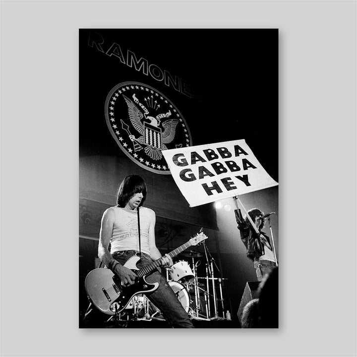 Ramones, 1978