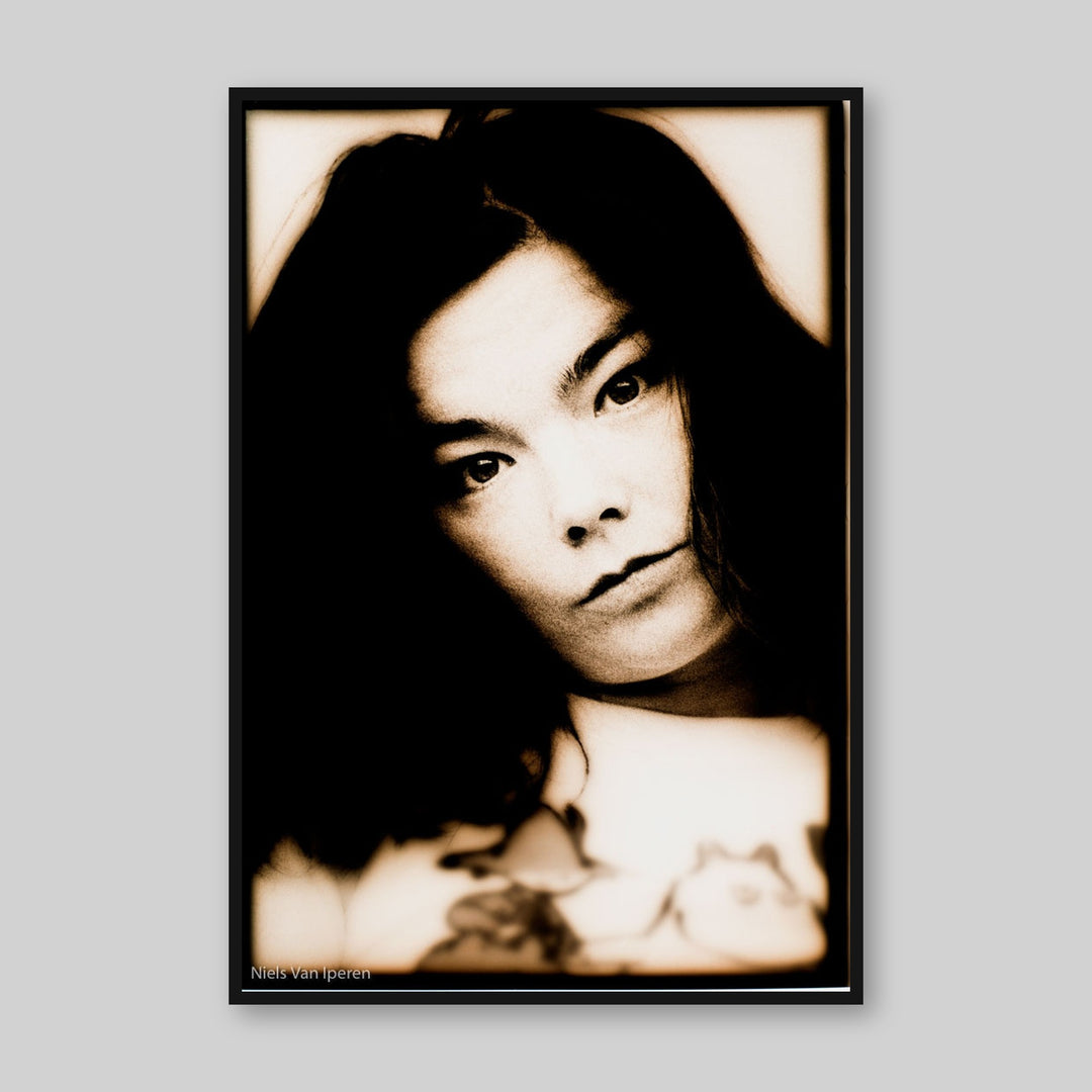 Björk, 1994