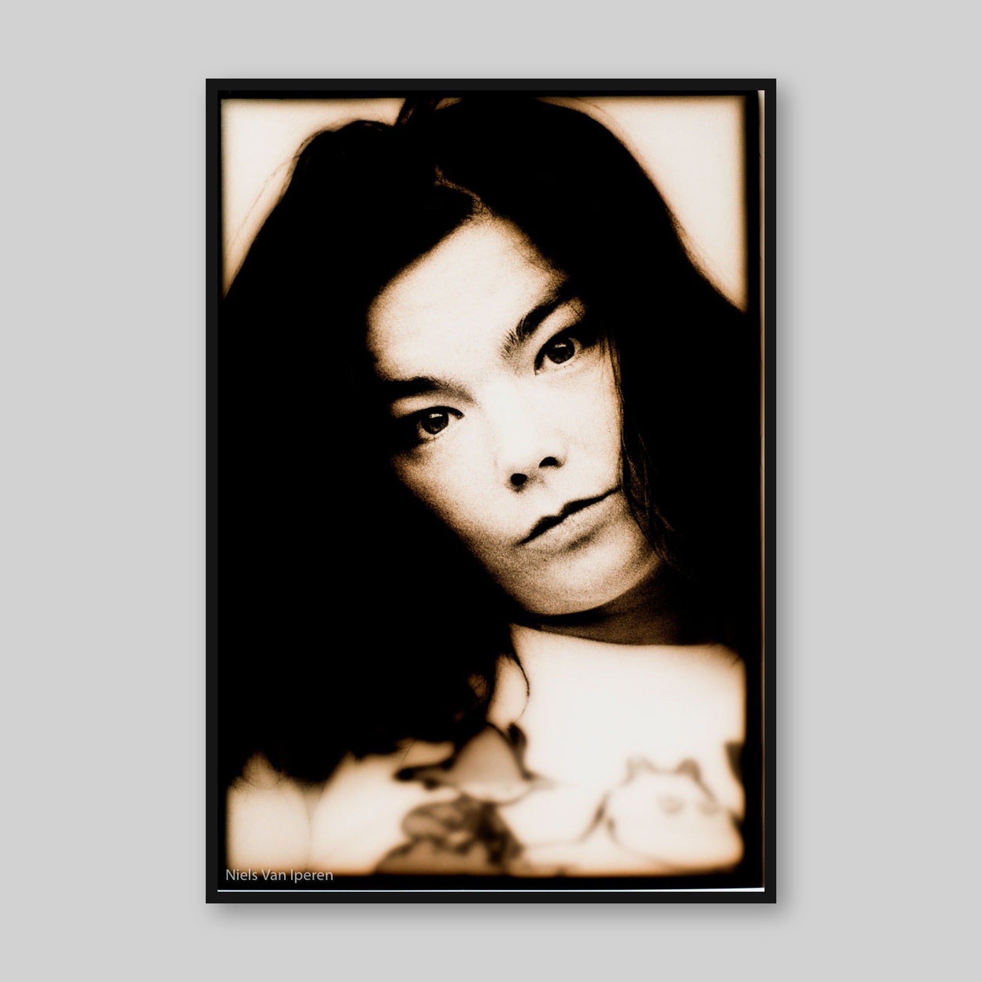 Björk, 1994