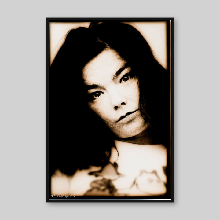 Björk, 1994