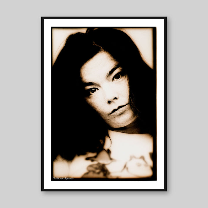 Björk, 1994