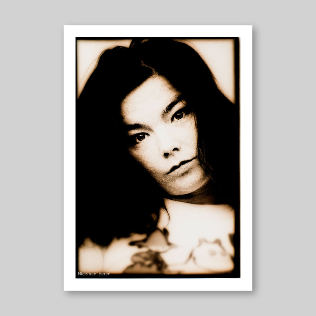 Björk, 1994