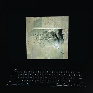 Bible - Cover
