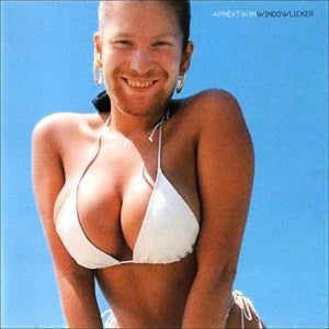 Windowlicker - Cover