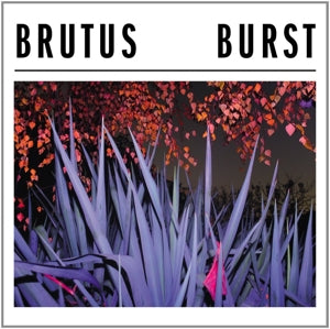 Burst - Black Vinyl - Cover