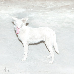 Malandra - Cover
