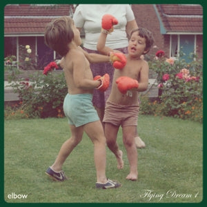 Flying Dream 1 - 180gr. Transparent - Cover