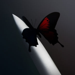 Twelve Carat Toothache - .. Toothache / Black and Translucent Ruby Vinyl - Cover