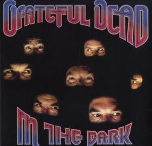 In the Dark - Cover
