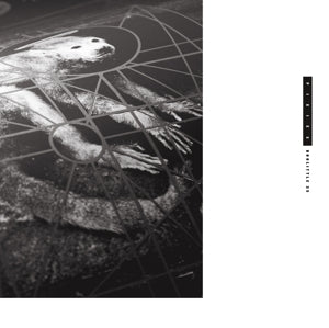 Doolittle 25 - 25th Anniversary 2lp - Cover