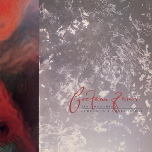 Tiny Dynamine/Echoes In a Shallow - .. a Shallow  // 180gr. - Cover