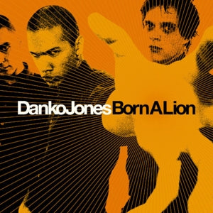 Born a Lion - Cover