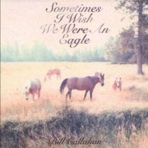 Sometimes I Wish We Were - Cover