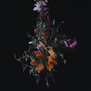 Nature Morte - Cover