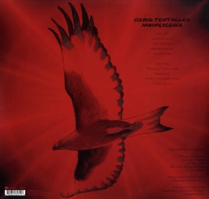 Arborescence - Back Cover