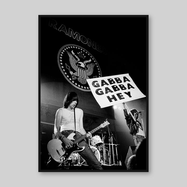 Ramones, 1978
