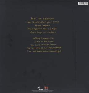 I Do Not Want What I Haven't Got - .. Haven't Got - Back Cover