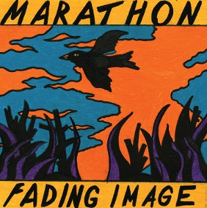 Fading Image - Cover