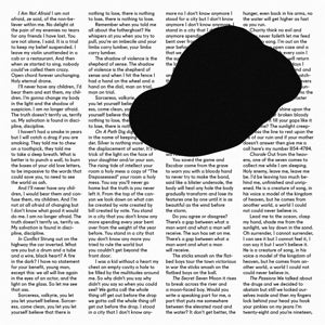 In Conflict - Limited Edition Double Lp W/ Bonus Track - Cover