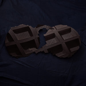 Dirty Projectors - .. Projectors/ Smoke Coloured With Etched D Side - Cover