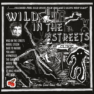 Wild In the Streets - Cover