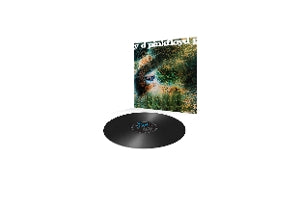 A Saucerful of Secrets (2016 Version) - Back Cover
