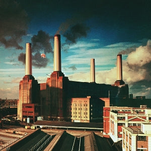 Animals - Cover