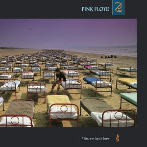 A Momentary Lapse of Reason - Cover
