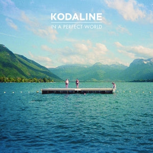 In a Perfect World - Cover